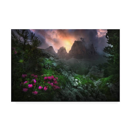 Luca Rebustini 'Garden Of Eden 2' Canvas Art,30x47